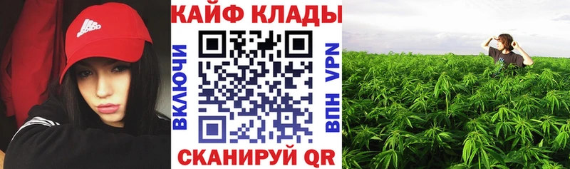 Как найти наркотики Алексин Кокаин Амфетамин МАРИХУАНА Меф СОЛЬ