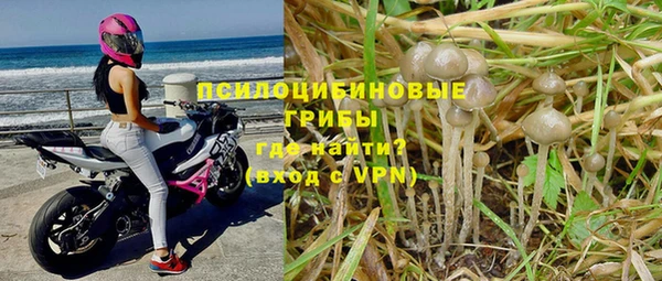 молекула духа Осташков
