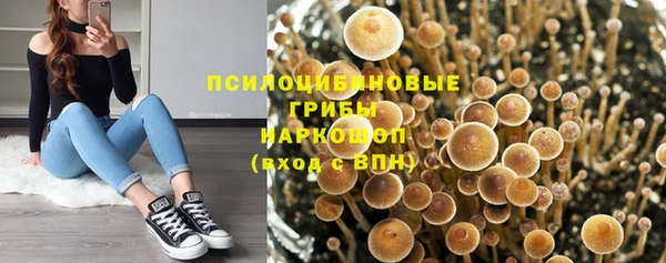 PSILOCYBIN Алзамай