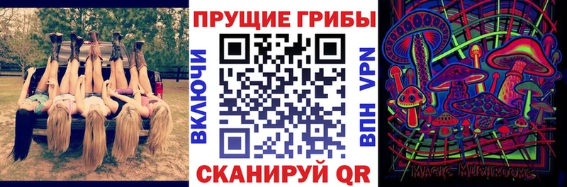MEGA вход закладка Алексин Псилоцибиновые грибы MAGIC MUSHROOMS